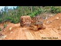 lori balak [ logging truck ] santaiwong Malaysia truck kayu