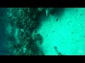 Coco View Resort, Roatan Honduras,  2022-10-24 Dive02 Vid04