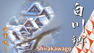 【日本の秘境】白川郷の雪景色を訪ねて、Visiting the snowy scenery of Shirakawa-go