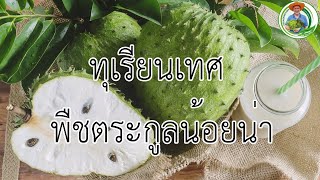 aquaganic farm ตอน ทุเรียนเทศ พืชตระกูลน้อยน่า