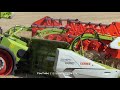 3x claas lexion 780tt getreideernte grain harvest 2019