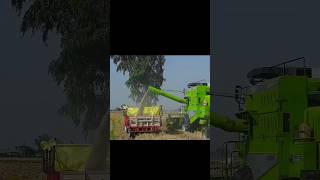 farming vlogs short video#nishudaswal