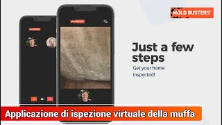 Applicazione di ispezione virtuale della muffa - Mold Busters