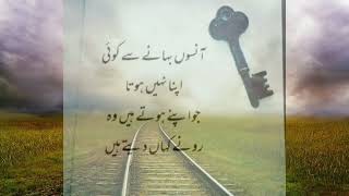 Motivational quotes Urdu 2023 | Hindi quotes | Life quotes | Golden words | Rumi Quotes |