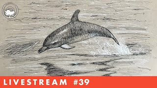 Drawing a Dolphin in Pen & Ink - LiveStream #39