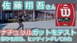 【佐藤翔吾さん】ナチュラルガットを張ってヒッティング!! 翔吾さんはガットを変えるのか!?【テニス】