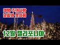 미국 캘리포니아 12월 날씨 / 여행, 출장 옷차림 / 여행시 주의사항