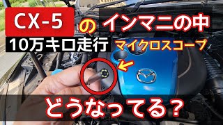 【CX-5】インマニの中どうなってる？マイクロスコープで覗いてみた煤問題【KE2FW】