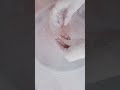 pasted slices covered in starch yummy asmr oddly