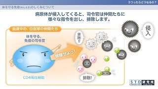 【STD研究所公式】動画でわかる「HIV感染症/エイズ」第3章 うつったらどうなるの？