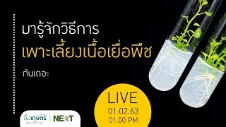 LIVE มารู้จักวิธีการเพาะเลี้ยงเนื้อเยื่อพืชกันเถอะ