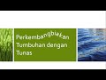 materi kelas 3 perkembangbiakan tumbuhan biji dan tunas