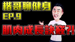 楷教練聊健身 EP.9 - 肌肉怎樣才會長大?!  |  運動恢復的重要性