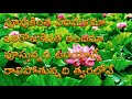 puvvukintha parimalama full song with lyrics jayashali songs jesus videos telugu