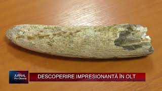 DESCOPERIRE IMPRESIONANTĂ ÎN OLT