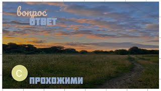 СПРАШИВАЮ У ПРОХОЖИХ ВОПРОСЫ/ ЛЮДИ НЕ ПОСЫЛАЮТ МЕНЯ?!/ МИЛИ И ДОБРИ/#вопросответ