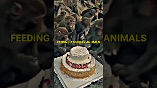 FEEDING A HUNGRY ❤ | Motivation quotes | life lessons | #motivation #shorts #viral #status