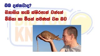 ඔබ දන්නවාද? Did you Know | 6 කොටස | Facts and information | facts world | Episode 6