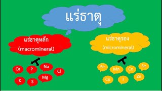 องค์ประกอบของอาหารสัตว์น้ำ แร่ธาตุ