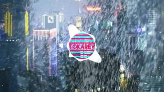 Tokarev - Hook Echo