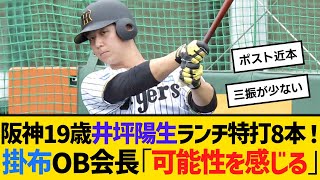 阪神19歳井坪陽生、ランチ特打8本！掛布OB会長「可能性を感じる」　【ネットの反応】【反応集】