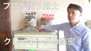 プロが愛用する用土 クレイキング  [盆栽・初心者]