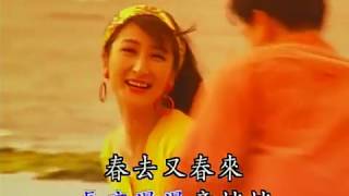 蔡幸娟 - 恨海（KTV）