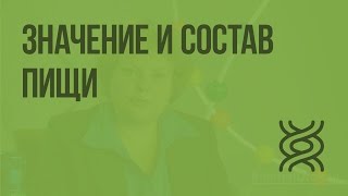 Значение и состав пищи. Видеоурок по биологии 8 класс