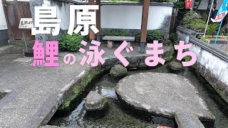 鯉の泳ぐまちを散策する 島原市の観光スポット