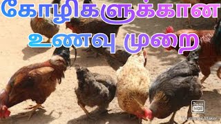 hen food and types of food to give jayam ideas