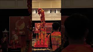 Lion Dance Chinese New Year 2025 #liondance2025 #lionsdance #chinesenewyear #cny