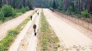 Держать границу на замке: в Гродненском районе у пограничников проходят тактические учения. Панорама