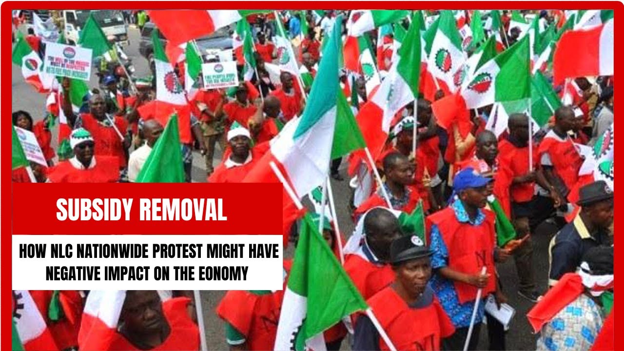 Subsidy Removal: How NLC Nationwide Protest Might Have Negative Impact ...