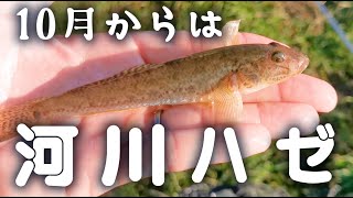 vol11 ハゼ釣り 運河で釣れないなら河川で釣れ