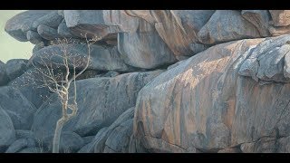 #87-  Kopje Lookout - Leopard by Robert Bateman