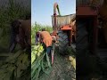 fast silage making machine how to make maize silage tractordriving silagemaking sohrtsvideo