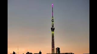 東京スカイツリーライブカメラ【2025/1/30】TOKYO SKY TREE Live Camera #東京スカイツリー