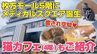 【枚方モール】癒し空間♥肉球がたまらない!!4階猫カフェと、5階メディカルスクエアご紹介！【大阪・枚方市】