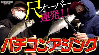 バチコンアジングまじで最高に楽しいから皆様におススメしたい！