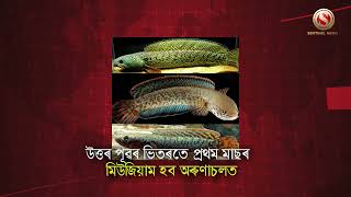 উত্তৰ-পূবৰ আজিৰ শীৰ্ষ বাতৰিসমূহ