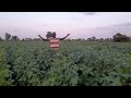 how to earn 50 000 000= from soybeans farming within 4month oonly in uganda