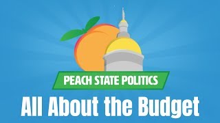 How Does a State Budget Work? | Peach State Politics