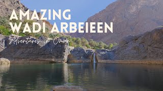 Amazing Wadi Arbeieen Oman