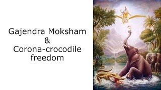 Gajendra Moksham | Corona-Crocodile freedom -  HG Radheshyam pr