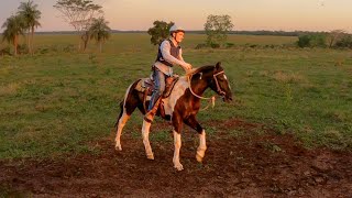 Riding Tango OUTSIDE The ROUND PEN | Taming A Wild Horse [EP23]