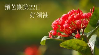 靈修:預苦期第22日-好領袖 20230318