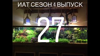 Интерактивный аквариумный туризм Сезон 4 Выпуск 27 - Рай для буцефаландр