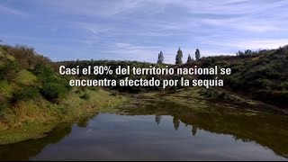 Sequía afecta casi al 80% del país