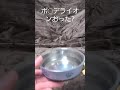 傷口を噛んだり舐めたりしないためのエリザベスカラー装着 かわいい 愛犬