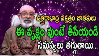 UTTARABHADRA NAKSHATRA VARKI |ఉత్తరాభాద్ర నక్షత్రం జాతకులు ఈ వృక్షం వుంటే తీసేయండి సమస్యలు తగ్గుతాయి